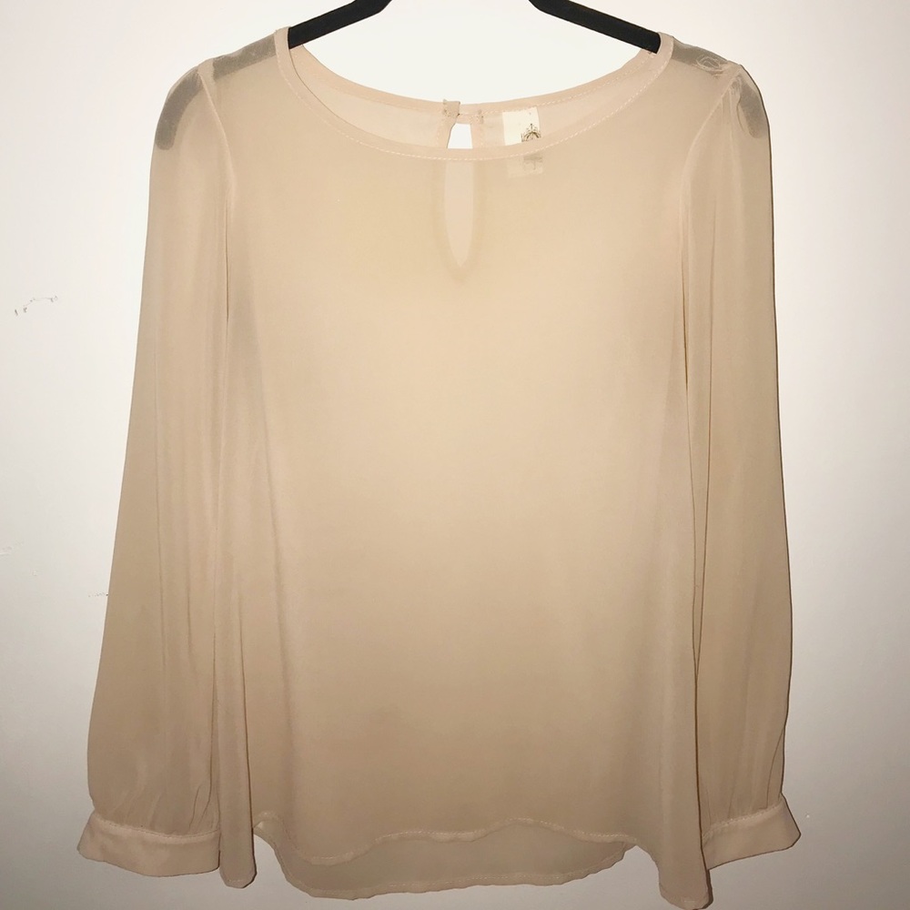 Sheer Blouse.  Dress shirt.